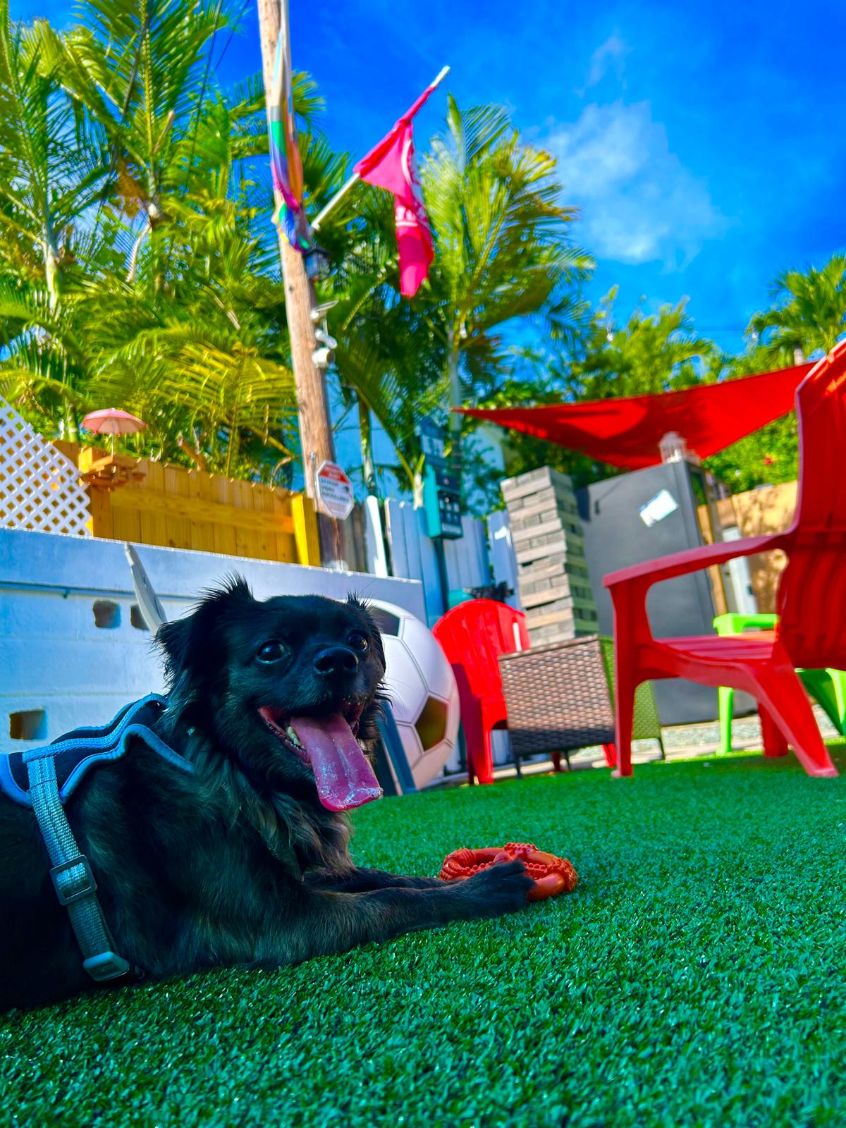 Natural surroundings at Thee Quad Resorts