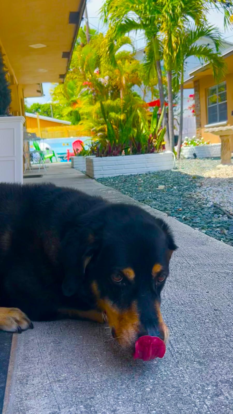 A quiet outdoor moment at Thee Quad Resorts